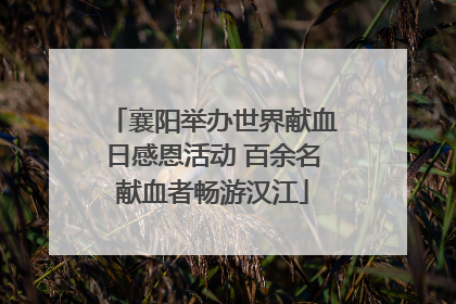襄阳举办世界献血日感恩活动 百余名献血者畅游汉江