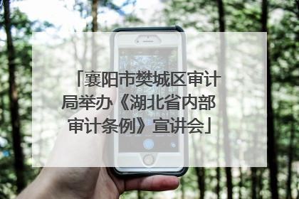 襄阳市樊城区审计局举办《湖北省内部审计条例》宣讲会