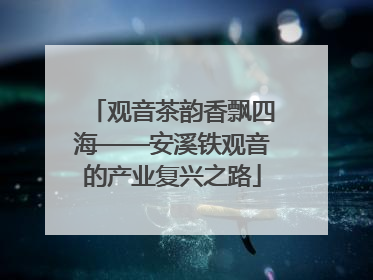 观音茶韵香飘四海——安溪铁观音的产业复兴之路