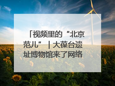 视频里的“北京范儿”｜大葆台遗址博物馆来了网络大V联盟
