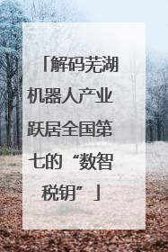 解码芜湖机器人产业跃居全国第七的“数智税钥”