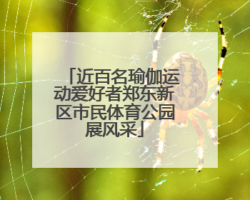 近百名瑜伽运动爱好者郑东新区市民体育公园展风采