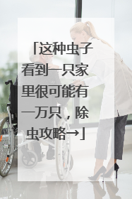 这种虫子看到一只家里很可能有一万只，除虫攻略→