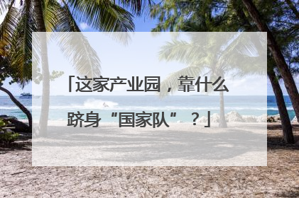 这家产业园，靠什么跻身“国家队”？