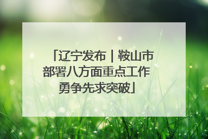 辽宁发布｜鞍山市部署八方面重点工作勇争先求突破