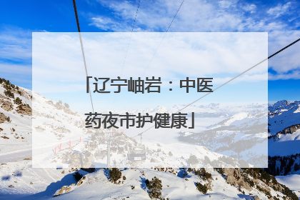 辽宁岫岩：中医药夜市护健康