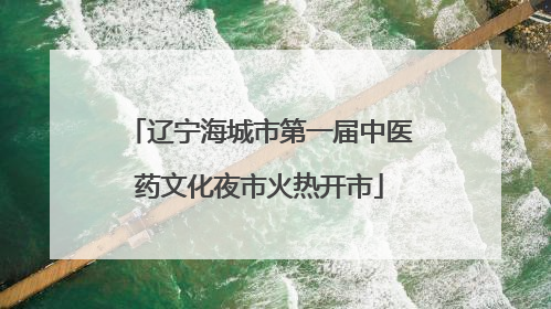 辽宁海城市第一届中医药文化夜市火热开市
