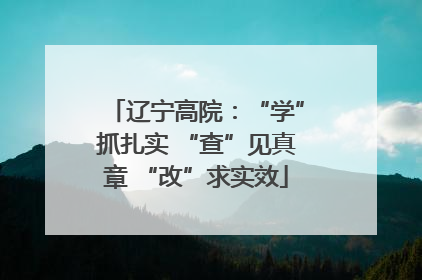 辽宁高院：“学”抓扎实 “查”见真章 “改”求实效