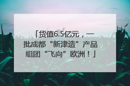 货值6.5亿元，一批成都“新津造”产品组团“飞向”欧洲！