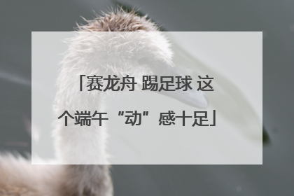 赛龙舟 踢足球 这个端午“动”感十足