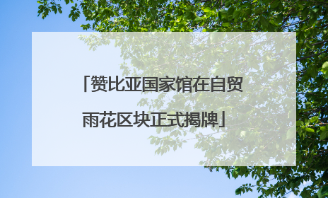 赞比亚国家馆在自贸雨花区块正式揭牌