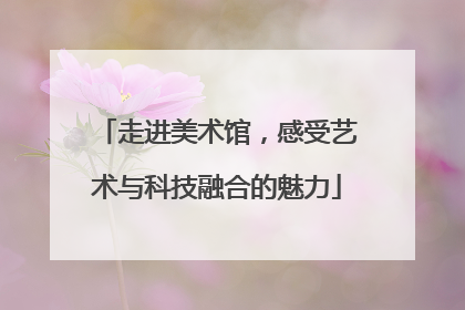 走进美术馆，感受艺术与科技融合的魅力