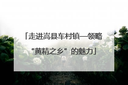 走进嵩县车村镇—领略“黄精之乡”的魅力