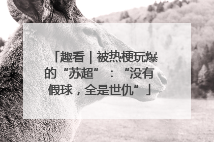 趣看｜被热梗玩爆的“苏超”：“没有假球，全是世仇”