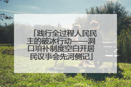 践行全过程人民民主的破冰行动——洞口填补制度空白开居民议事会先河侧记