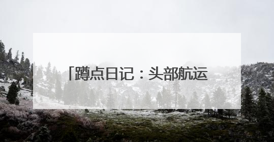 蹲点日记：头部航运企业为何聚集此地？