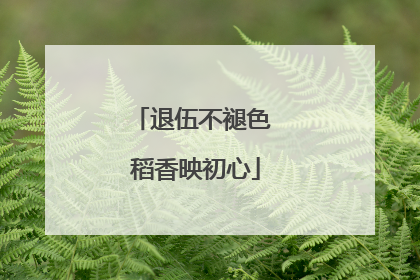 退伍不褪色 稻香映初心