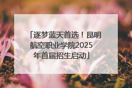 逐梦蓝天首选！昆明航空职业学院2025年首届招生启动