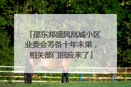 邵东邦盛凤凰城小区业委会筹备十年未果，相关部门回应来了