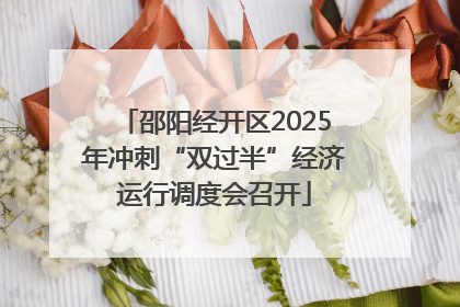 邵阳经开区2025年冲刺“双过半”经济运行调度会召开