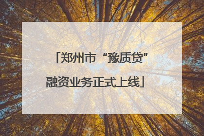郑州市“豫质贷”融资业务正式上线