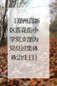 郑州高新区莲花街小学党支部为党员过集体政治生日