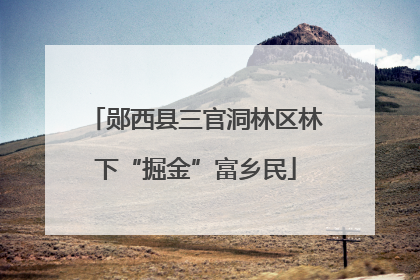 郧西县三官洞林区林下“掘金”富乡民
