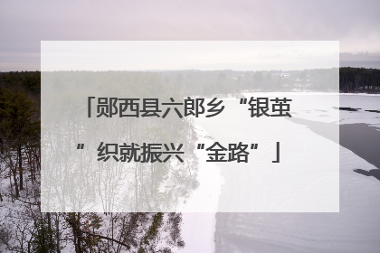郧西县六郎乡“银茧”织就振兴“金路”