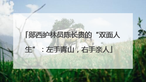 郧西护林员陈长贵的“双面人生”：左手青山，右手亲人