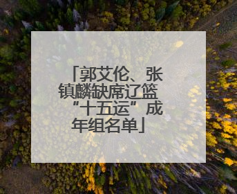 郭艾伦、张镇麟缺席辽篮“十五运”成年组名单