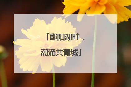 鄱阳湖畔，潮涌共青城