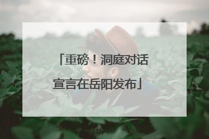 重磅！洞庭对话宣言在岳阳发布