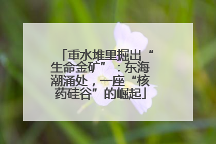 重水堆里掘出“生命金矿”：东海潮涌处，一座“核药硅谷”的崛起