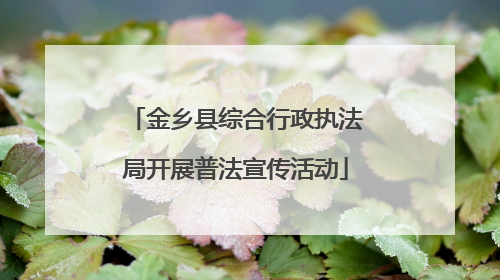 金乡县综合行政执法局开展普法宣传活动