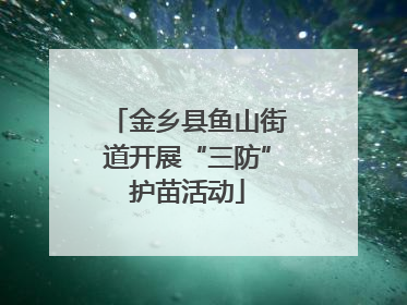 金乡县鱼山街道开展“三防”护苗活动