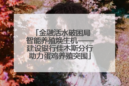 金融活水破困局 智能养殖焕生机——建设银行佳木斯分行助力蛋鸡养殖突围
