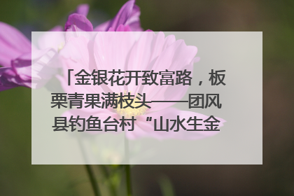 金银花开致富路，板栗青果满枝头——团风县钓鱼台村“山水生金”谱写共富新篇章