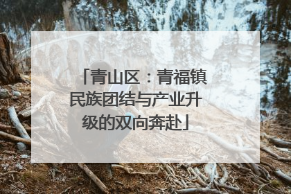 青山区：青福镇民族团结与产业升级的双向奔赴