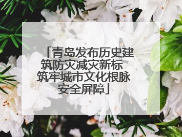 青岛发布历史建筑防灾减灾新标 筑牢城市文化根脉安全屏障