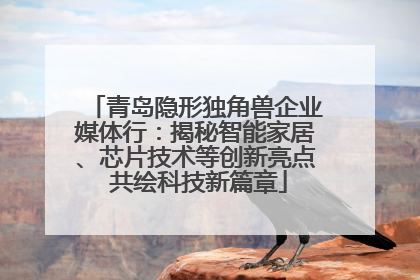 青岛隐形独角兽企业媒体行：揭秘智能家居、芯片技术等创新亮点 共绘科技新篇章