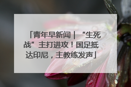 青年早新闻｜“生死战”主打进攻！国足抵达印尼，主教练发声