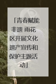 青春赋能非遗 雨花区开展文化遗产宣传和保护主题活动