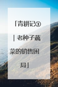青耕记③｜老种子蔬菜的销售困局