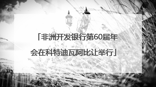 非洲开发银行第60届年会在科特迪瓦阿比让举行