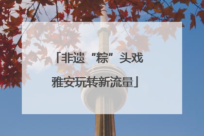 非遗“粽”头戏 雅安玩转新流量
