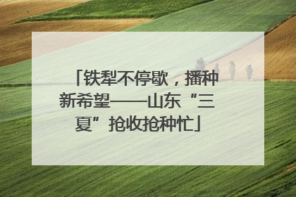 铁犁不停歇，播种新希望——山东“三夏”抢收抢种忙