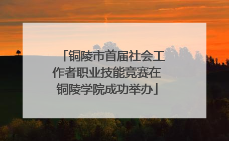 铜陵市首届社会工作者职业技能竞赛在铜陵学院成功举办