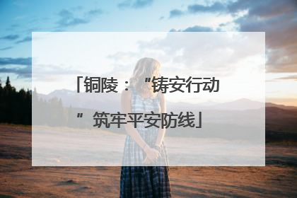 铜陵：“铸安行动”筑牢平安防线