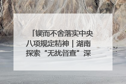 锲而不舍落实中央八项规定精神｜湖南探索“无扰督查”深化基层减负