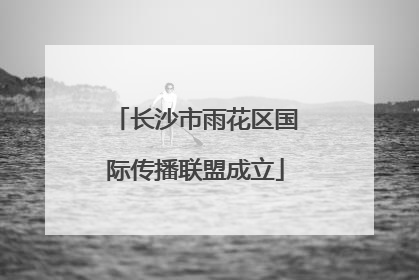 长沙市雨花区国际传播联盟成立